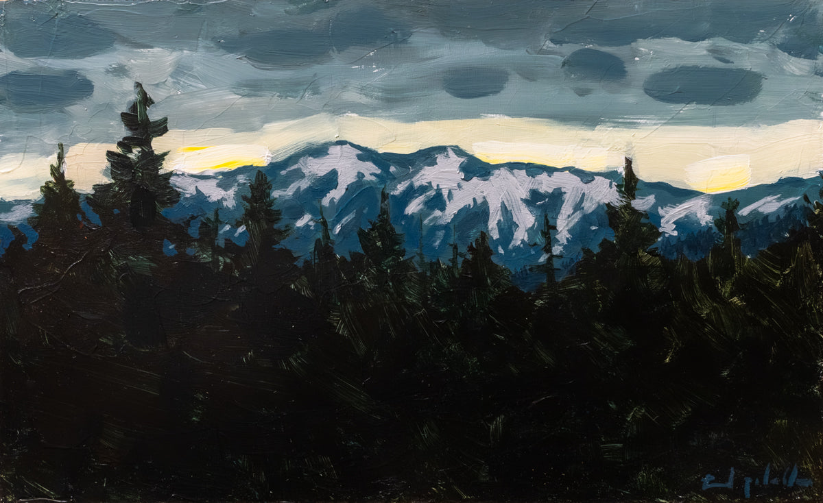 Beyond the Pines - Fine Art Paper Print