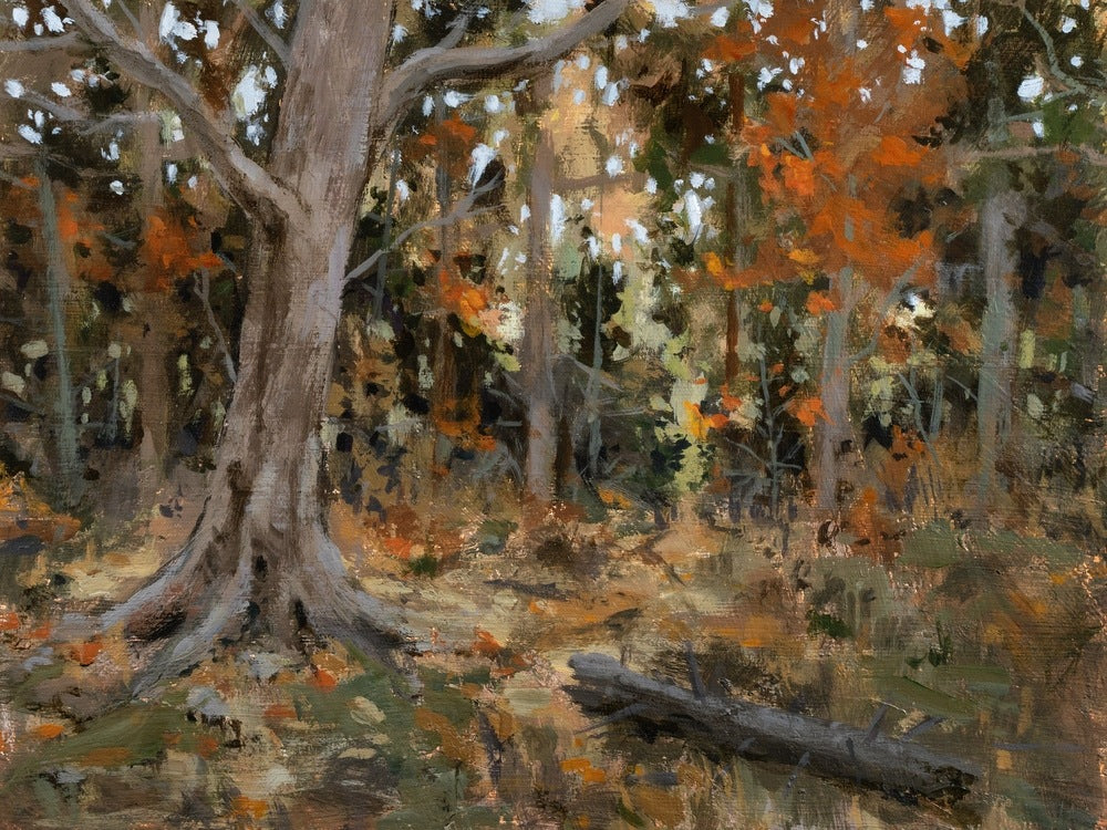 Sticks and Stones - Gallery Canvas Print