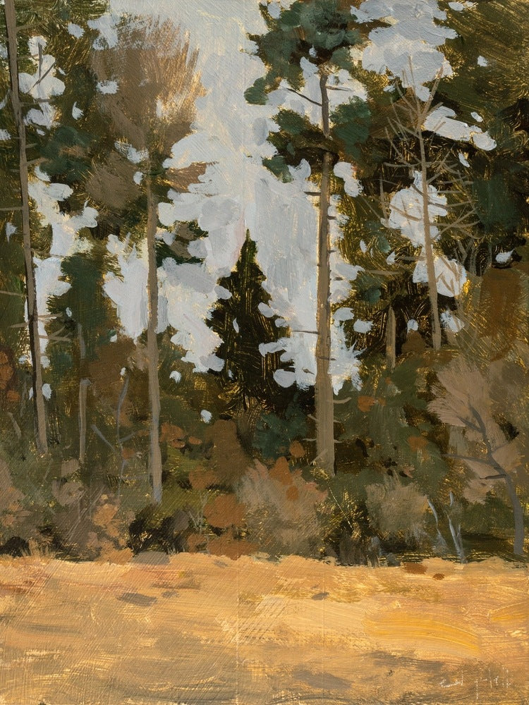 On the Edge - Gallery Canvas Print