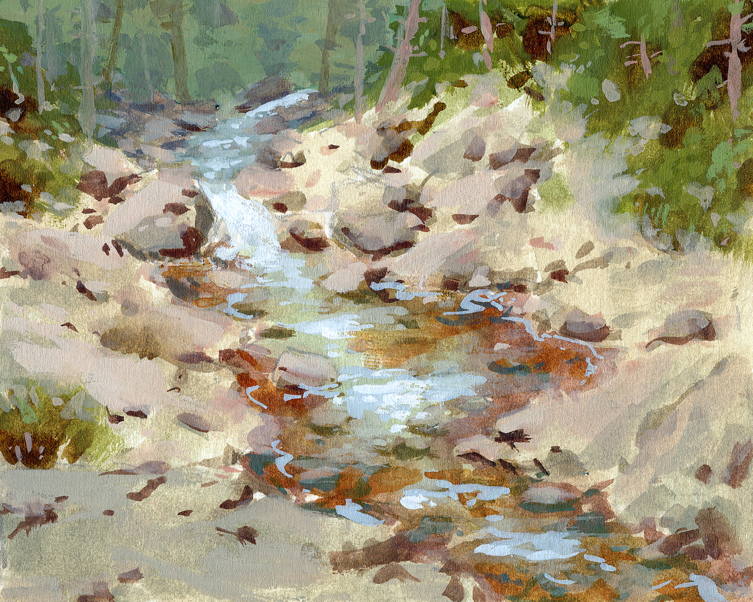 Forest Creek Study - Art Print