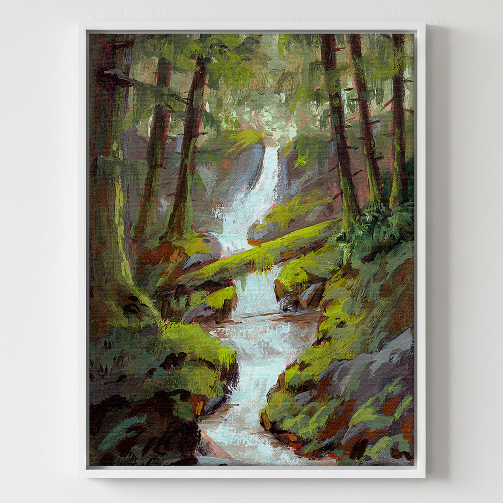 Forest Waterfall - Gallery Canvas Print
