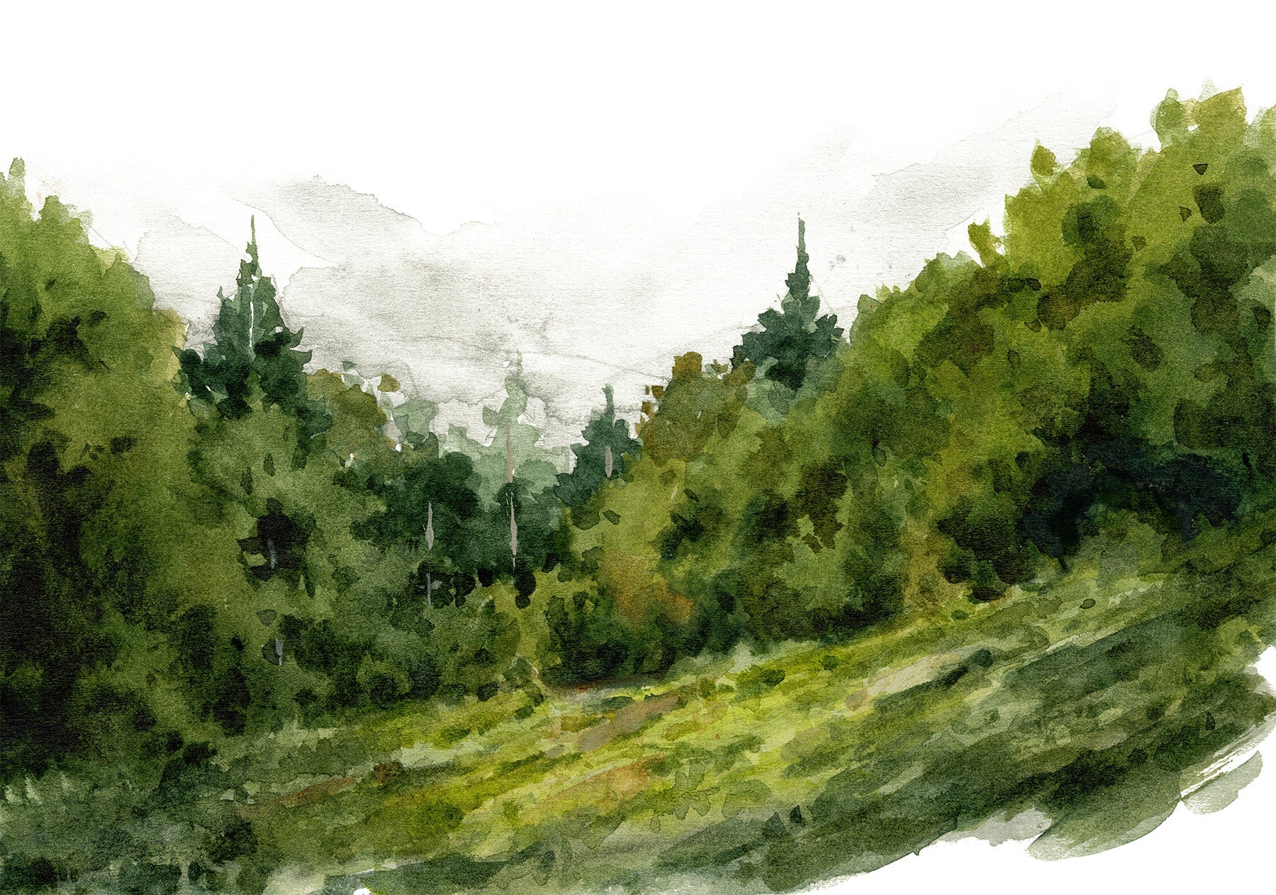 Off the Beaten Path - Fine Art Paper Print