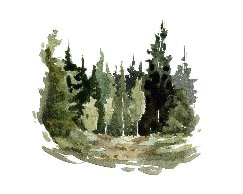 Forest Study 1 - Art Print