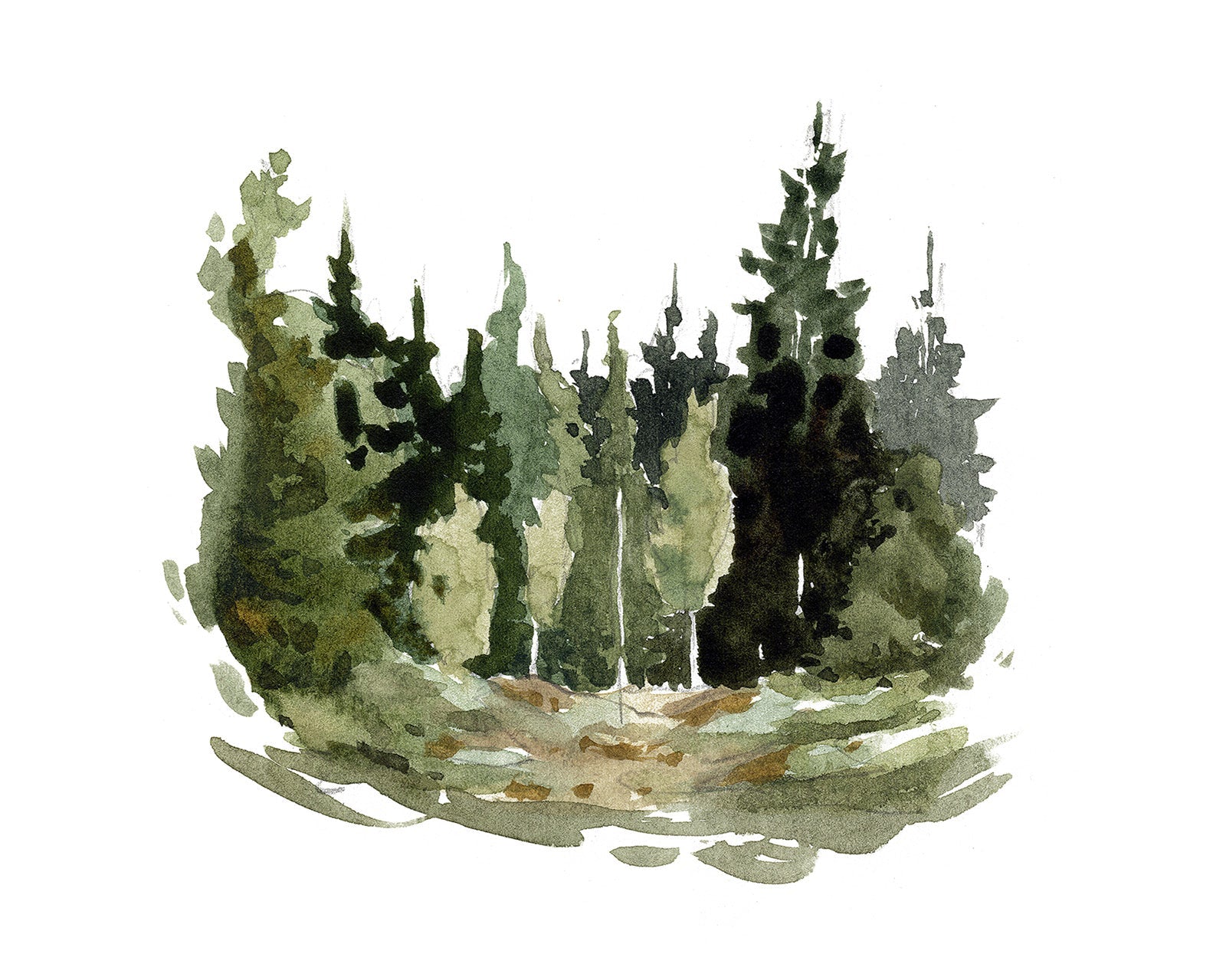 Forest Study 1 - Fine Art Paper Print