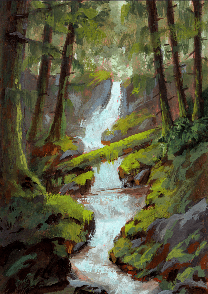 Forest Waterfall - Gallery Canvas Print