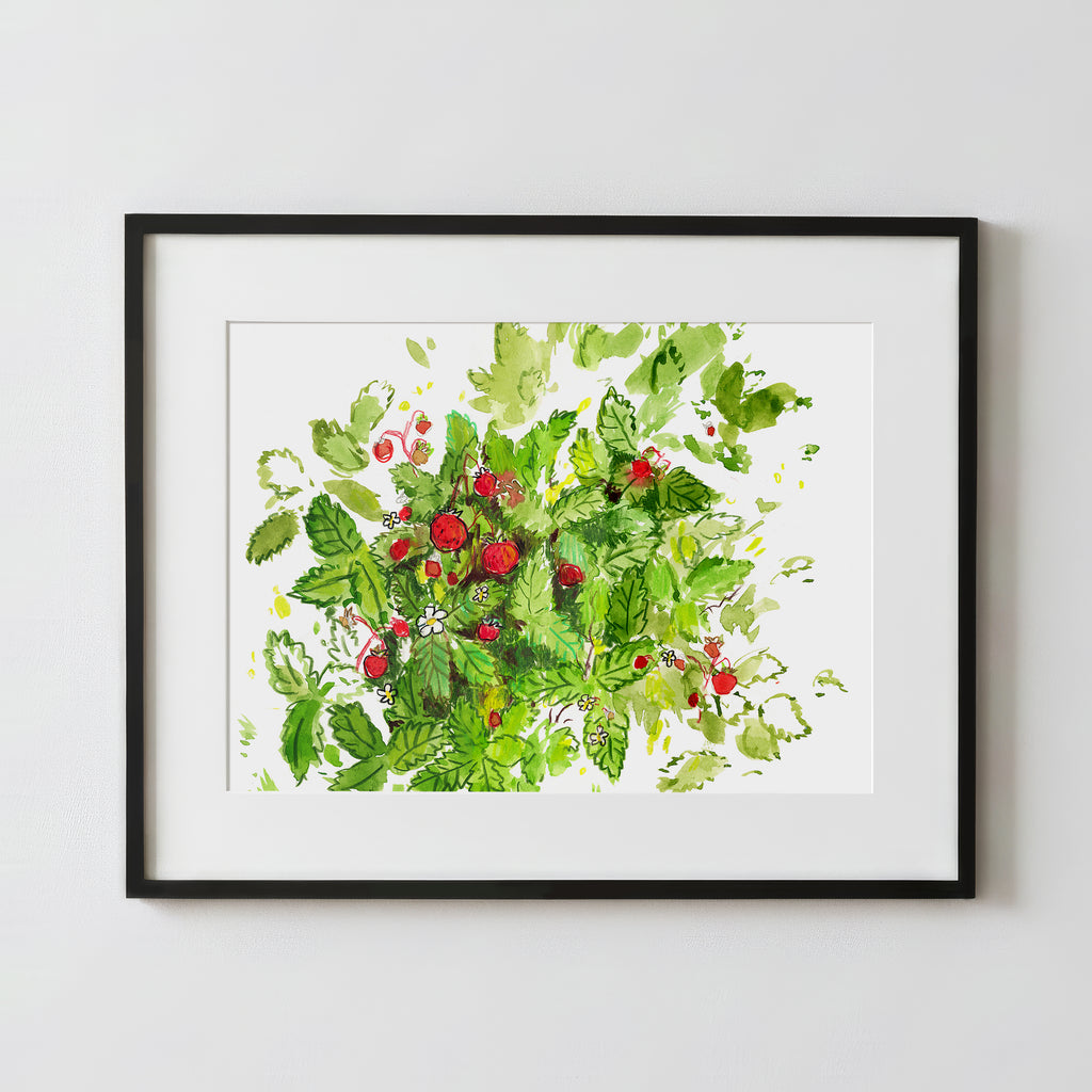 Wild Strawberries - Fine Art Paper Print
