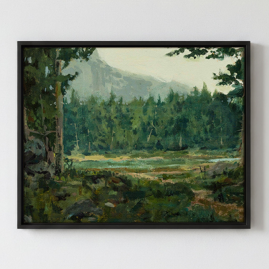 A Special Place in the Forest - Gallery Canvas Print