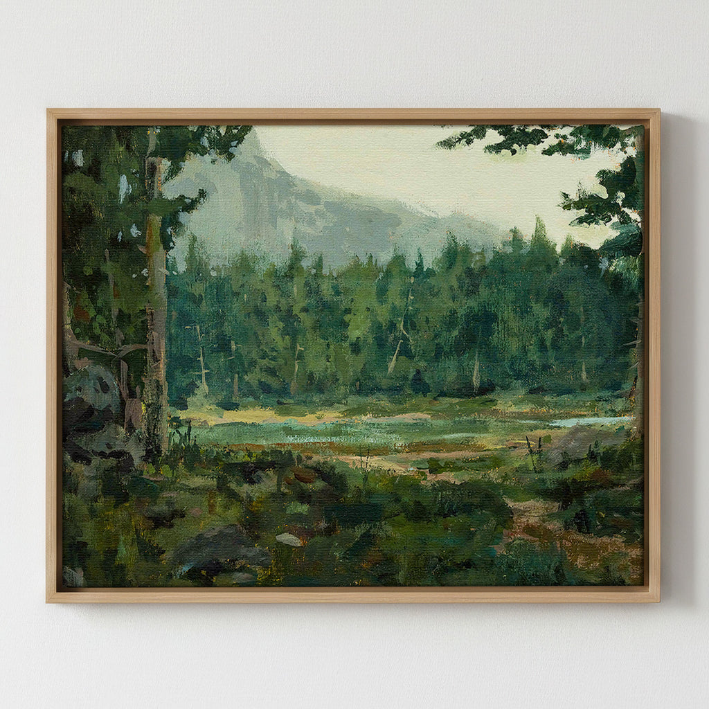 A Special Place in the Forest - Gallery Canvas Print
