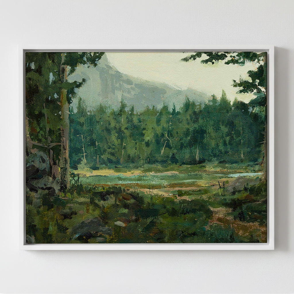 A Special Place in the Forest - Gallery Canvas Print