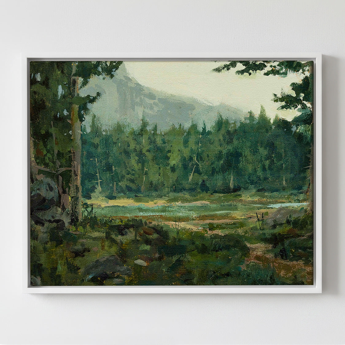 A Special Place in the Forest - Gallery Canvas Print
