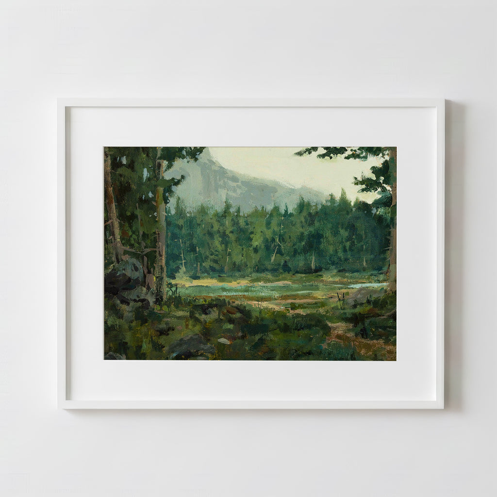 A Special Place in the Forest - Fine Art Paper Print