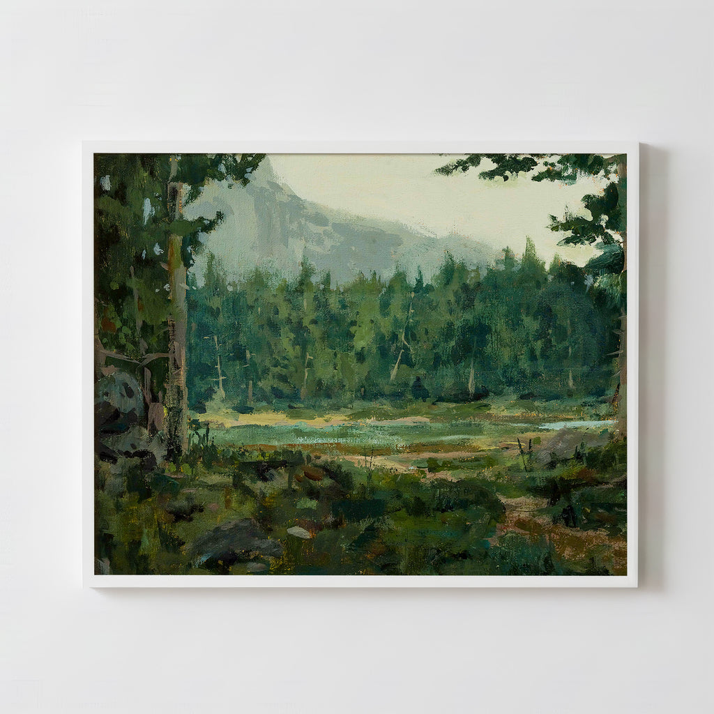 A Special Place in the Forest - Fine Art Paper Print