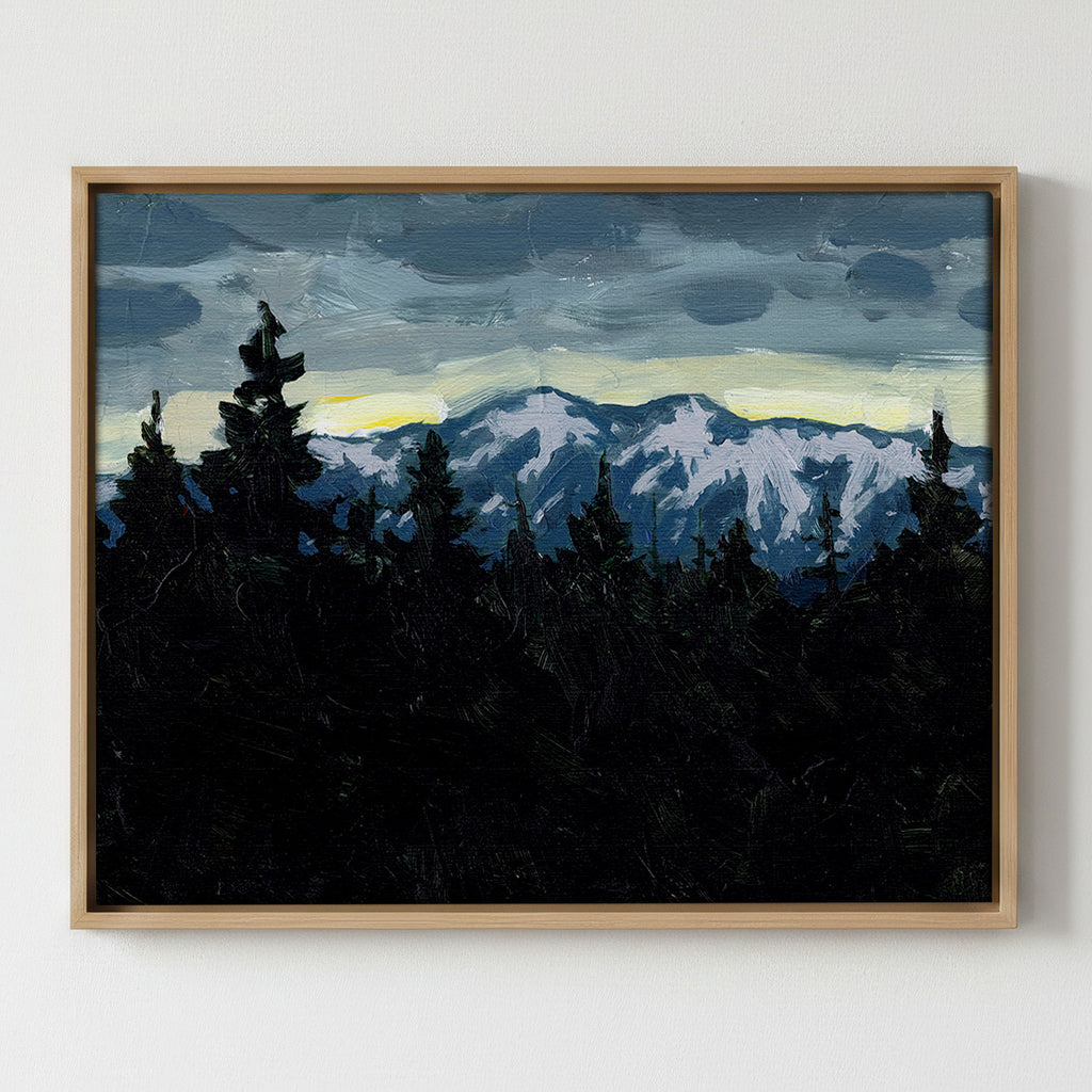 Beyond the Pines - Gallery Canvas Print