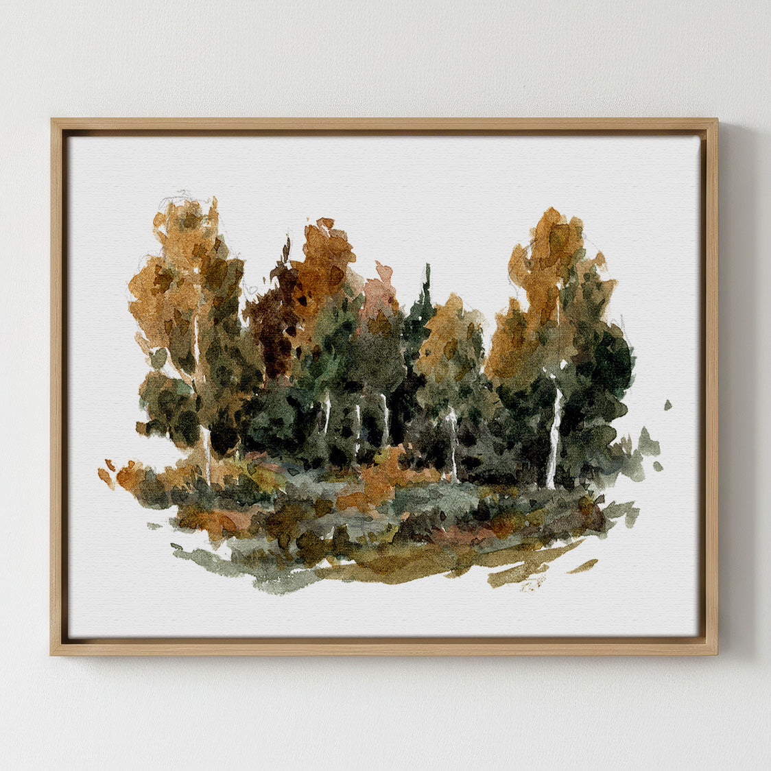 Forest Study 2 - Gallery Canvas Print