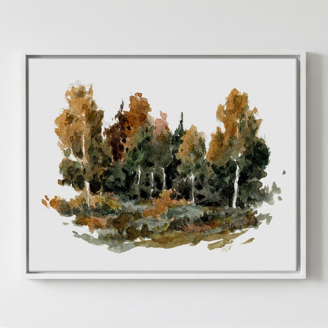 Forest Study 2 - Gallery Canvas Print