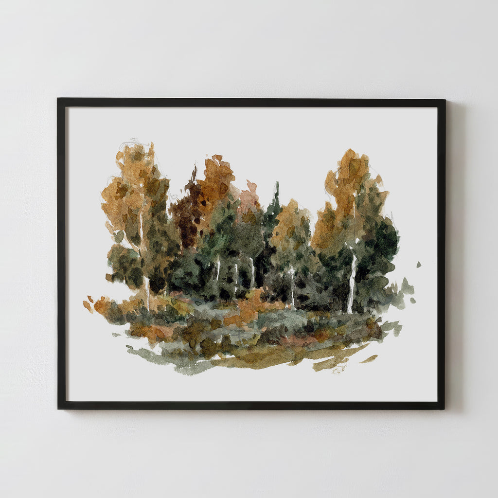 Forest Study 2 - Fine Art Paper Print