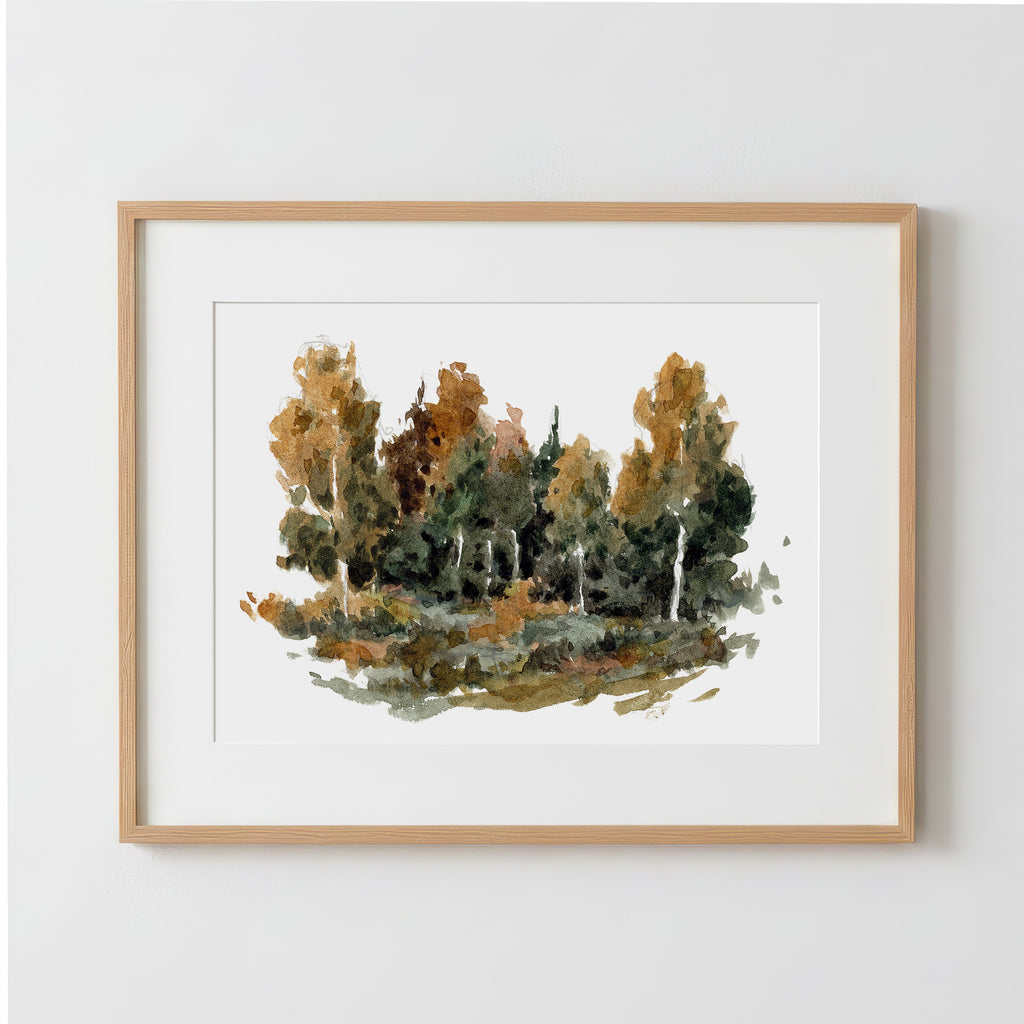 Forest Study 2 - Fine Art Paper Print