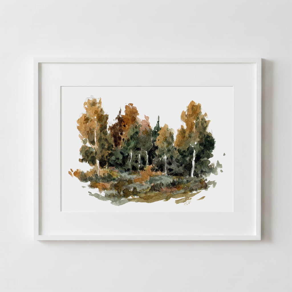 Forest Study 2 - Fine Art Paper Print