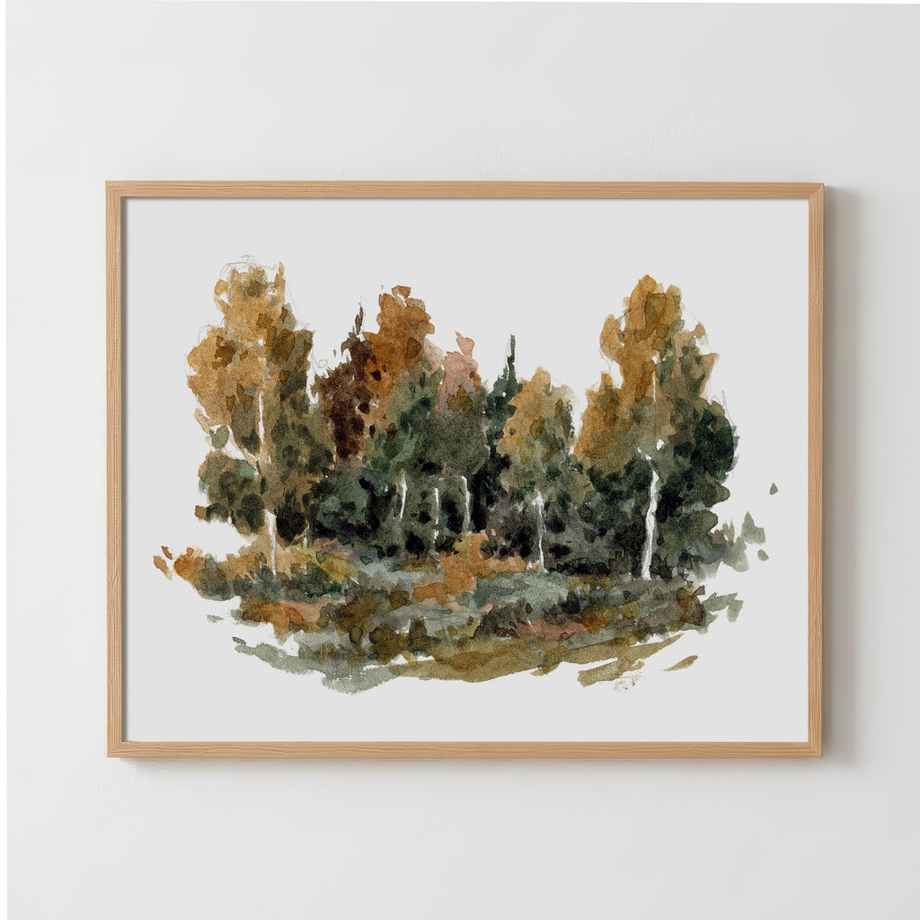 Forest Study 2 - Fine Art Paper Print