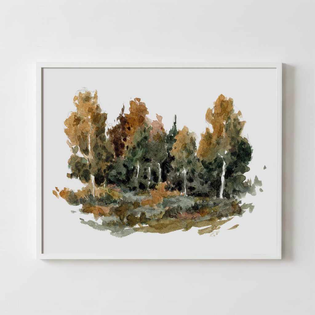 Forest Study 2 - Fine Art Paper Print