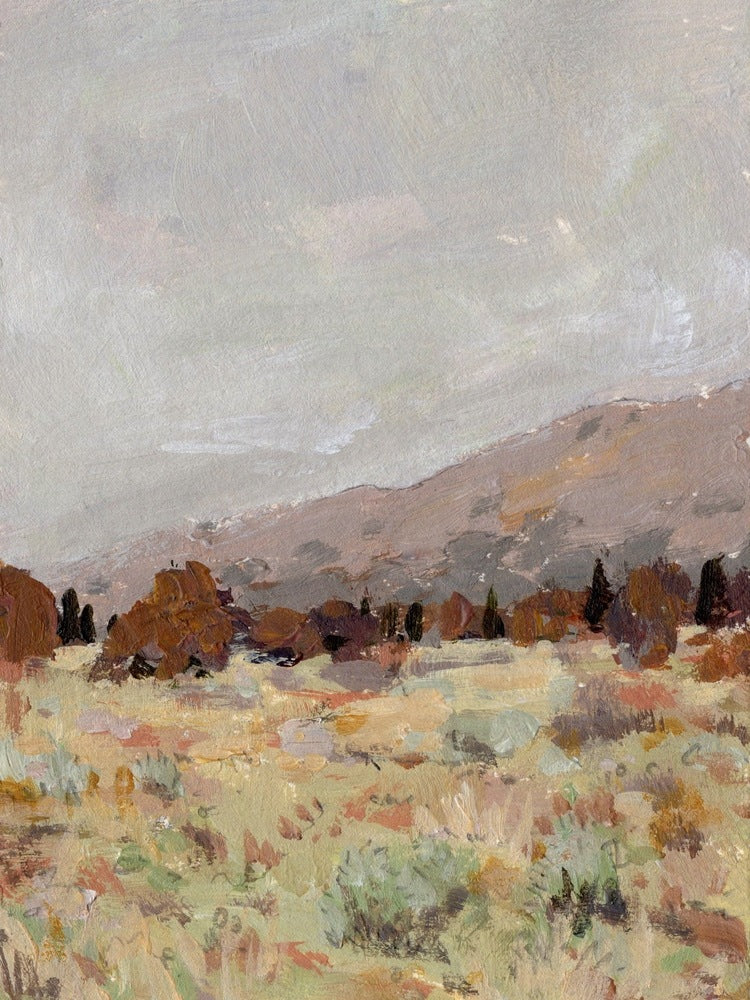 Seasonal Hues - Gallery Canvas Print