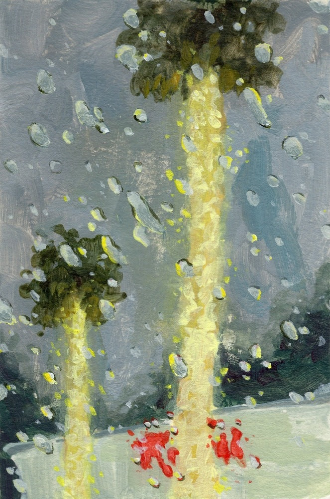 SoCal Xmas - Gallery Canvas Print