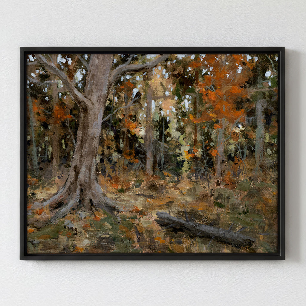 Sticks and Stones - Gallery Canvas Print