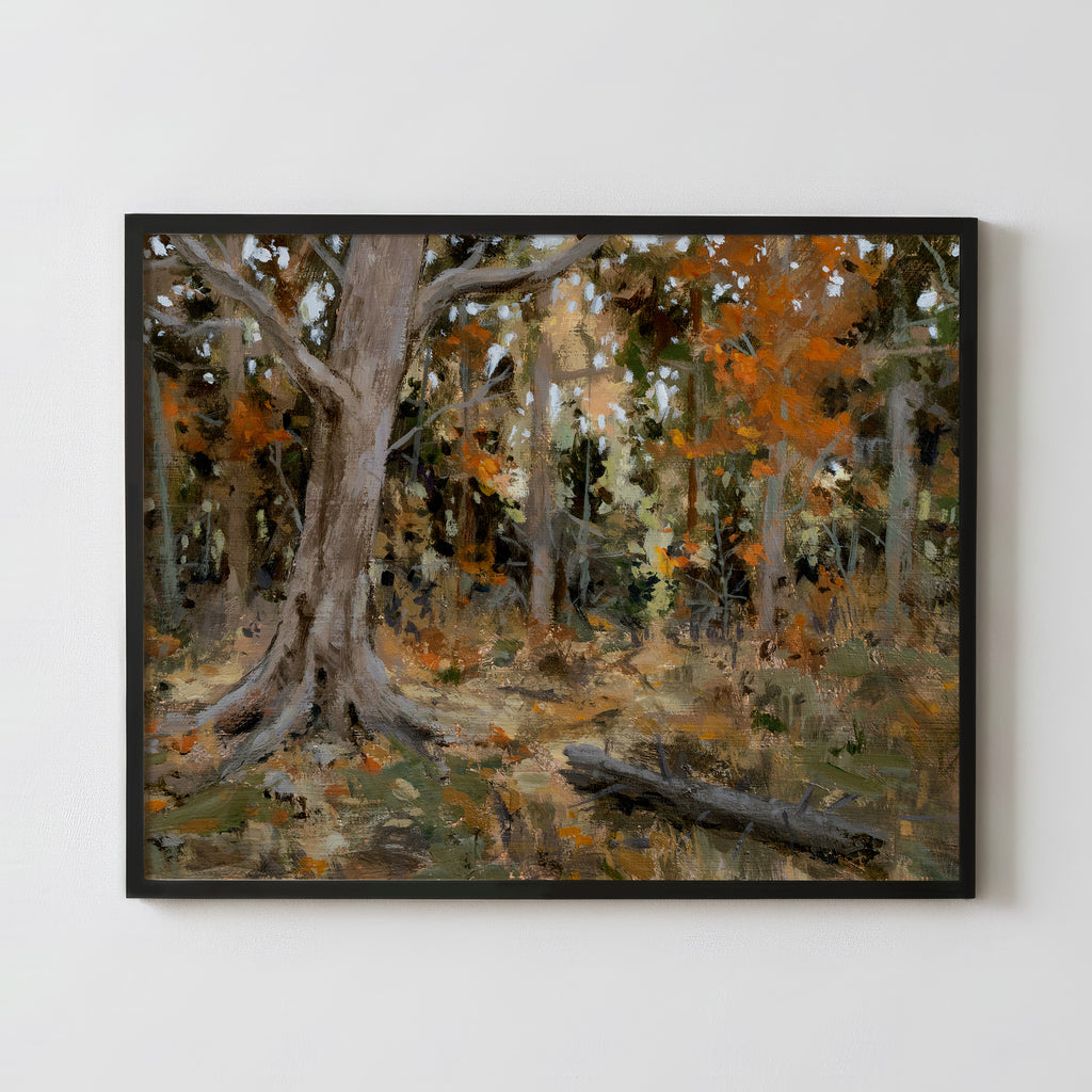 Sticks and Stones - Fine Art Paper Print