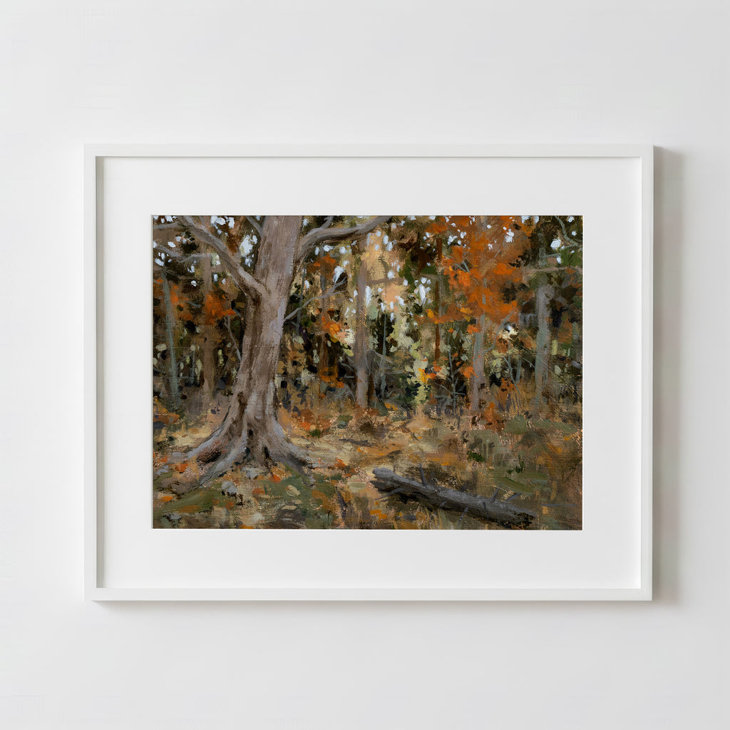 Sticks and Stones - Fine Art Paper Print