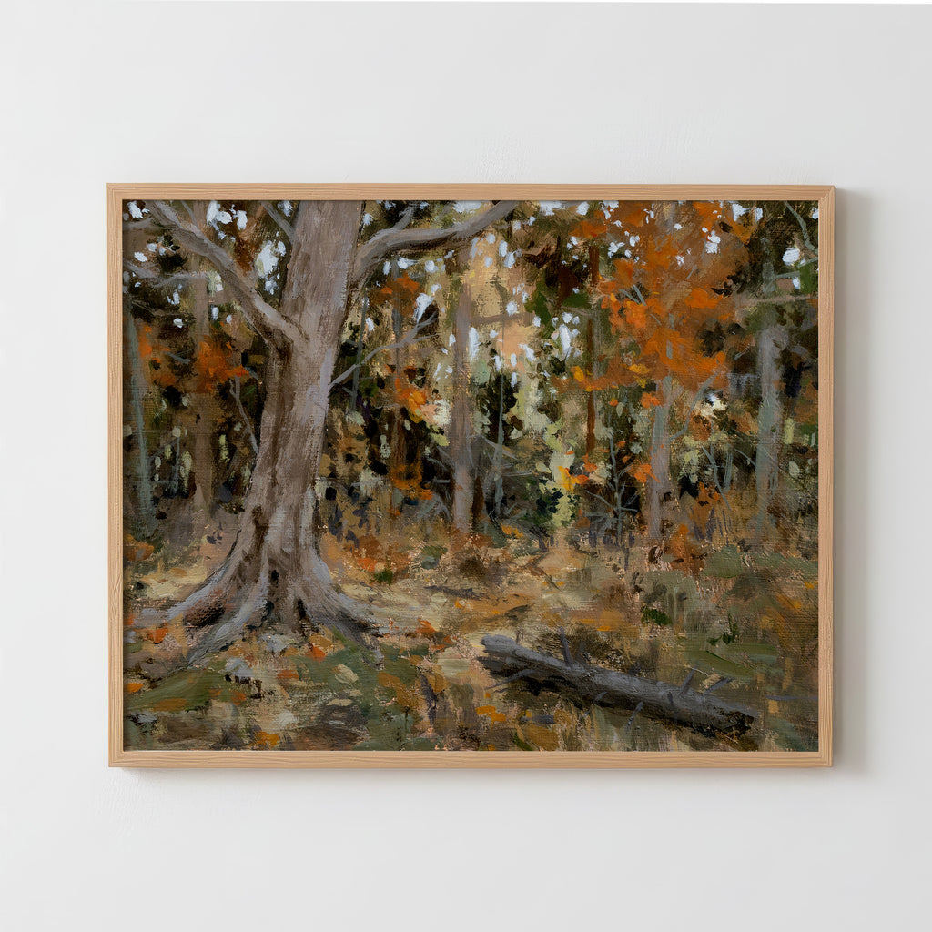 Sticks and Stones - Fine Art Paper Print