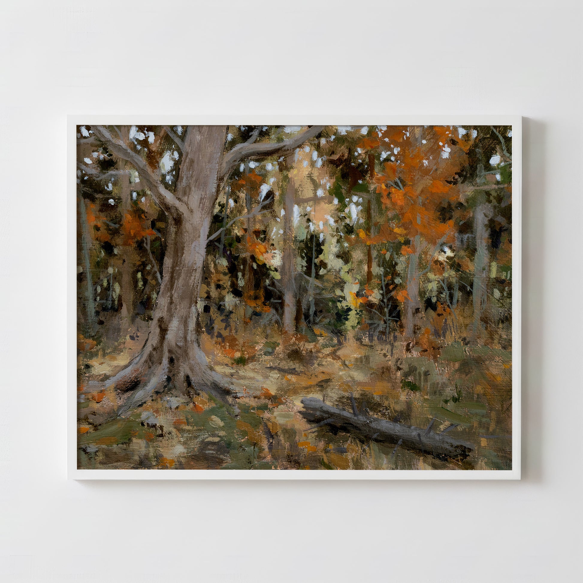 Sticks and Stones - Fine Art Paper Print